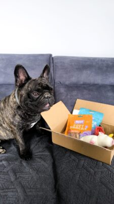 Klientas dalijasi patirtimi apie Wufy dėžę šunims – teigiamas atsiliepimas