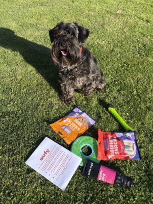 Šuo džiaugiasi Wufy dėžės žaislais – klientų atsiliepimas