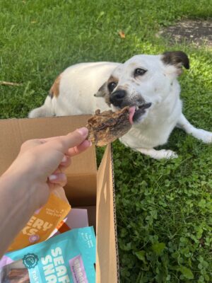 Klientas dalijasi Wufy dėžės įspūdžiais su savo šunimi