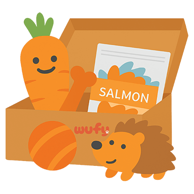 Wufy dėžė šunims su žaislais ir skanėstais