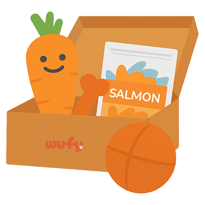 Wufy kramtytojo dėžė šunims – skanėstai ir žaislai aktyviems šunims